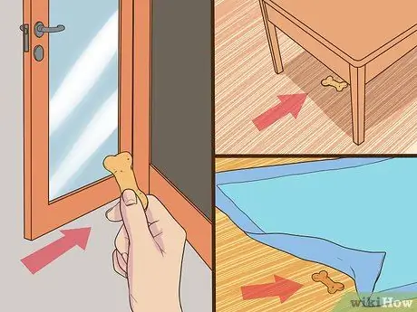 Развлекайтесь с собакой в помещении Шаг 5