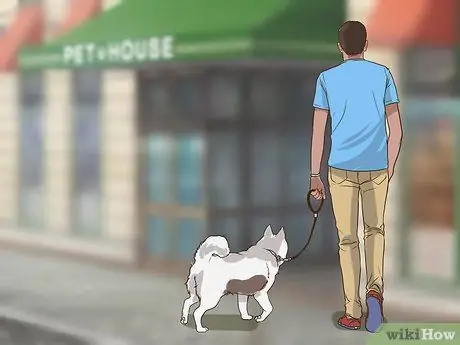 Развлекайтесь с собакой в помещении Шаг 9