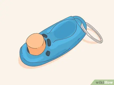 Приучите собаку играть в футбол, шаг 1