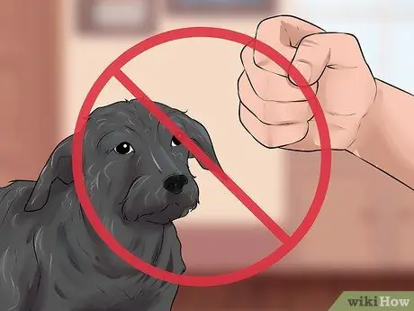 Связь с отчужденной собакой Шаг 11