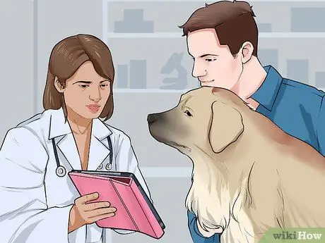 Связь с отчужденной собакой Шаг 12