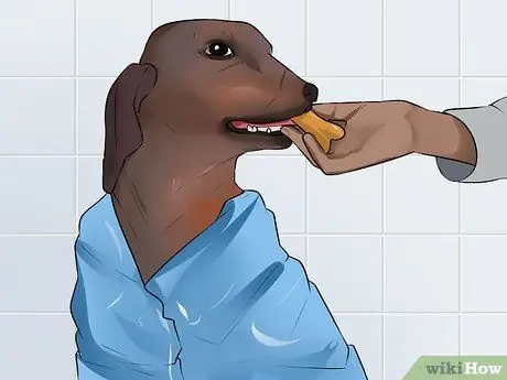 Связь с отчужденной собакой Шаг 14