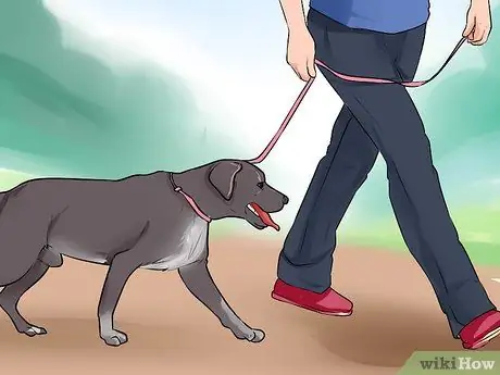 Связь с отчужденной собакой, шаг 2