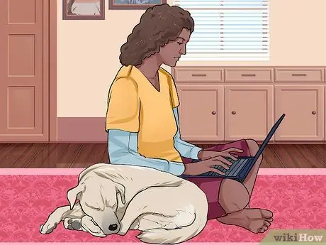 Связь с отчужденной собакой Шаг 3