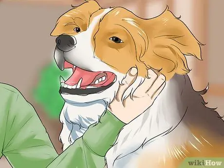 Связь с отчужденной собакой Шаг 4