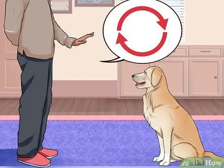 Связь с отчужденной собакой Шаг 7