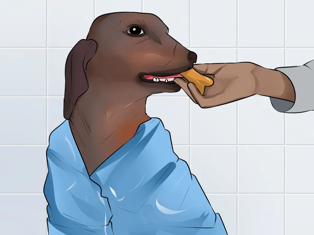 3 способа сблизиться с отчужденной собакой