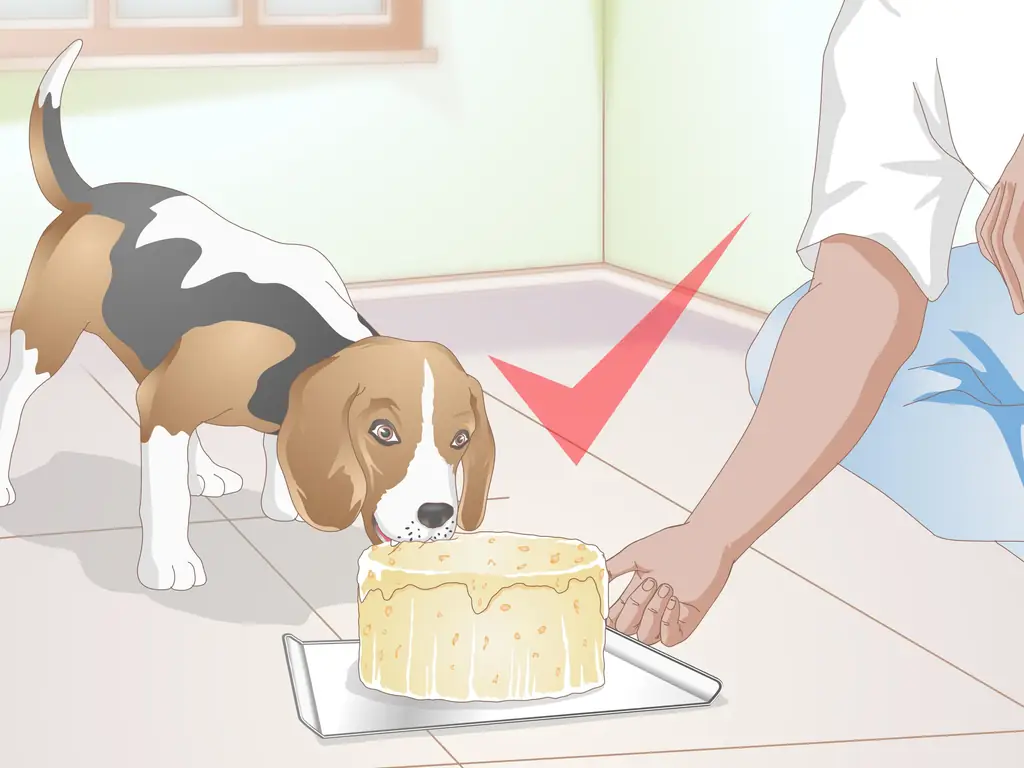 3 способа приготовить лакомство для собак