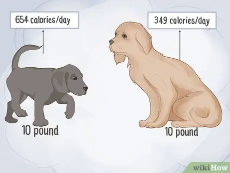 Приготовьте домашнюю еду для вашей собаки Шаг 10