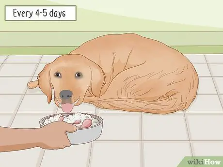 Приготовьте домашнюю еду для вашей собаки Шаг 12