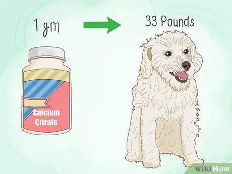 Приготовьте домашнюю еду для вашей собаки Шаг 4