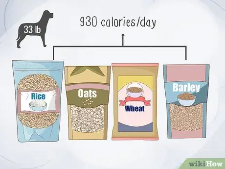 Приготовьте домашнюю еду для вашей собаки Шаг 7