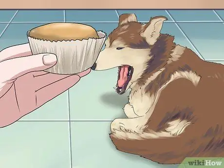 Приготовьте собачьи угощения из банана, арахиса и йогурта Шаг 5