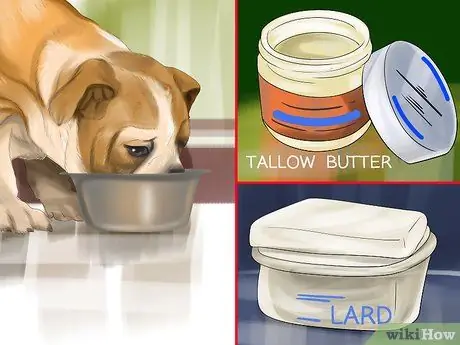 Выберите корм для бордер-колли Шаг 9