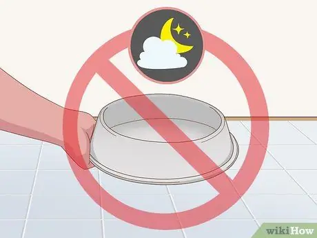 Приучите пожилую собаку к дому, шаг 10