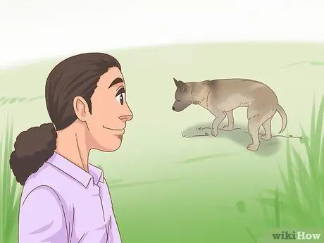 Приучите пожилую собаку к дому, шаг 16