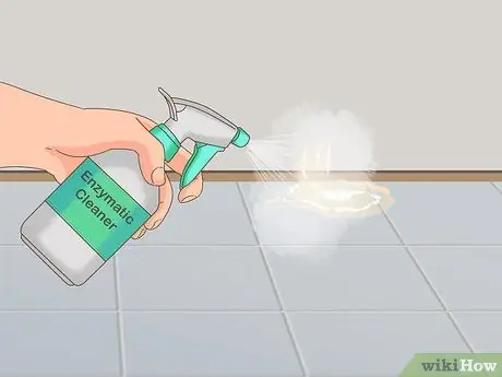 Приучите пожилую собаку к дому, шаг 4