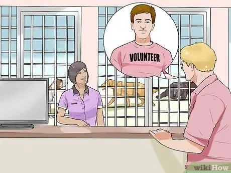 Получите помощь, убирая собаку из дома с ограниченным бюджетом Шаг 1