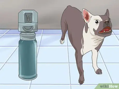 Приучите собаку убегать из дома Шаг 10