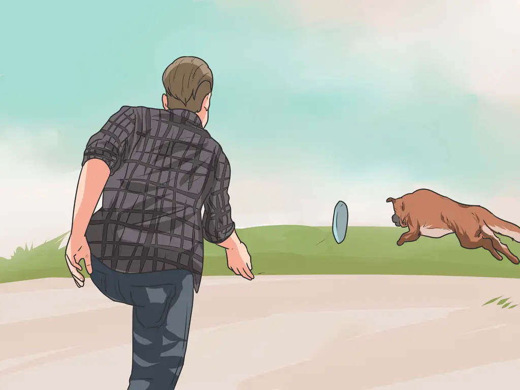 Как приучить собаку не выбегать из дома: 14 шагов