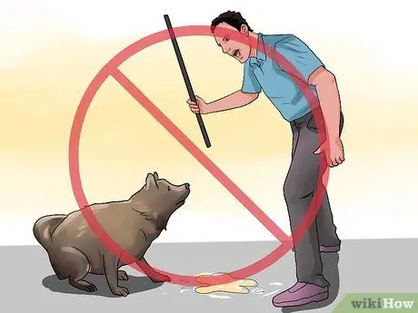 Приучите собаку мочиться на улице Шаг 10