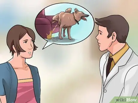 Приучите собаку мочиться на улице Шаг 13