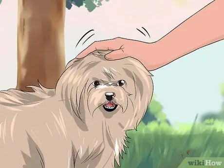 Приучите собаку мочиться на улице Шаг 5