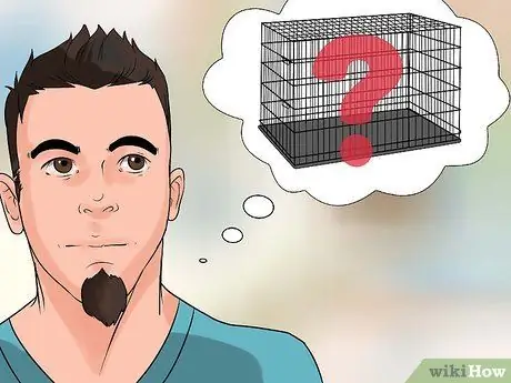 Приучите собаку мочиться на улице Шаг 6