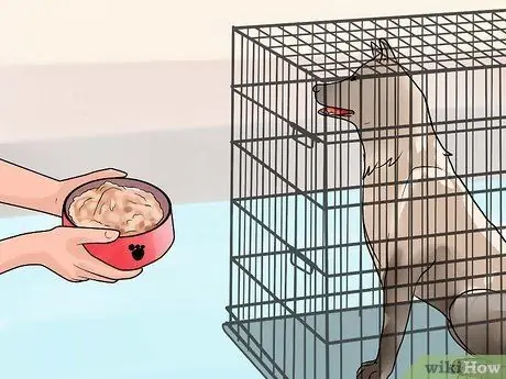 Приучите собаку мочиться на улице Шаг 8