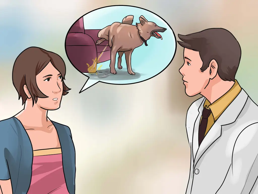 Как приучить собаку писать на улице: 13 шагов (с иллюстрациями)