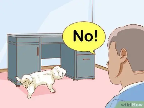 Как не дать собаке помочиться изнутри после выхода на улицу Шаг 8