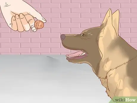 Как не дать собаке помочиться изнутри после выхода на улицу Шаг 5