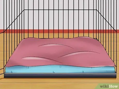 Предотвратить испражнение собаки в клетке Шаг 3