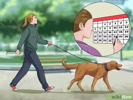 Не дать собаке забраться в клетку Шаг 6