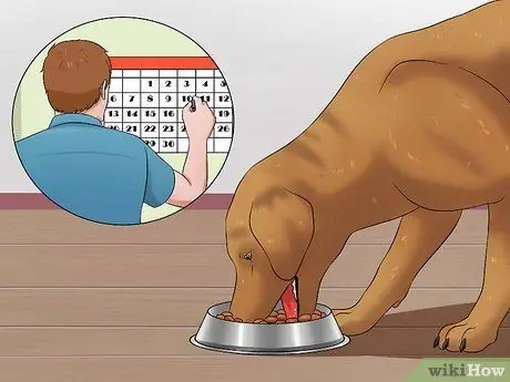 Предотвратить испражнение собаки в клетке Шаг 7