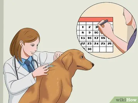 Не дать собаке забраться в клетку Шаг 9