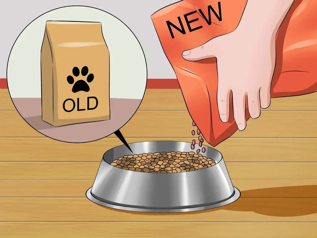 3 способа предотвратить испражнение собаки в клетке