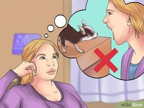 Приучить чихуахуа к горшку Шаг 10