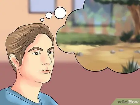 Приучить чихуахуа к горшку, шаг 3