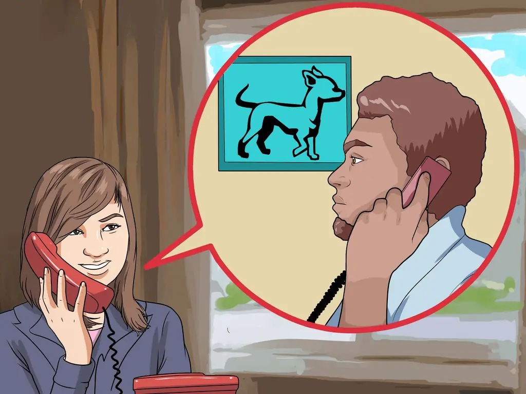 3 способа приучить чихуахуа к горшку