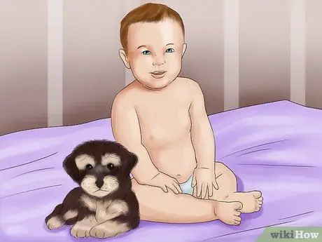 Позаботьтесь о щенках из чашки, шаг 10