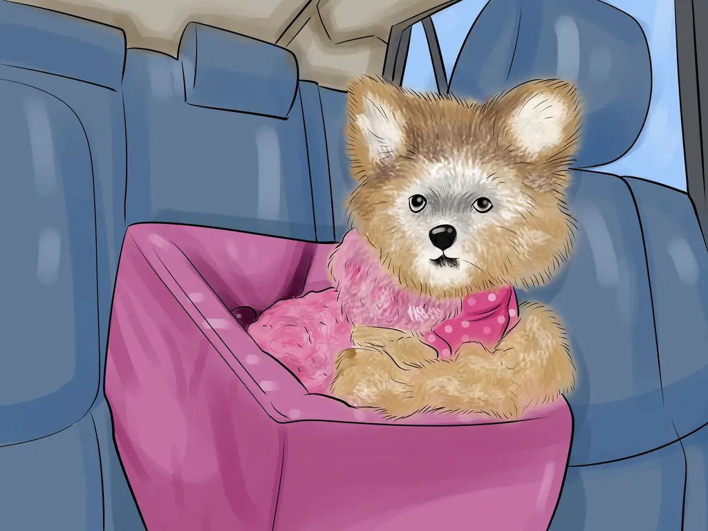 3 способа заботиться о щенках из чашки