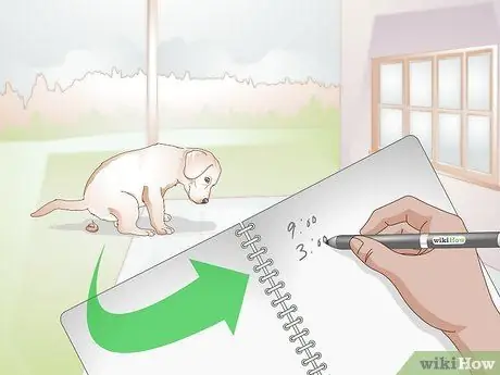 Познакомьтесь со своим щенком Шаг 3