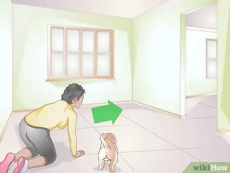 Познакомьтесь со своим щенком Шаг 4