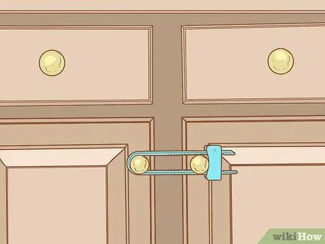 Уход за щенком ши-тцу Шаг 1