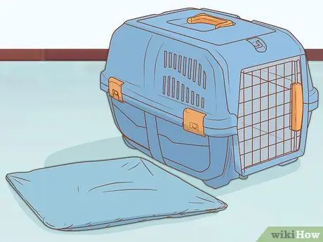 Уход за щенком ши-тцу Шаг 2