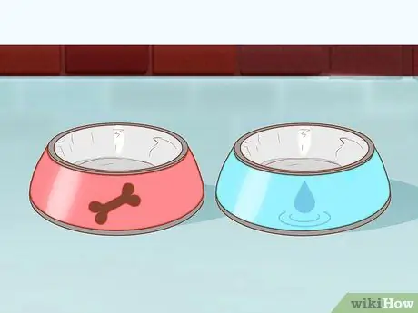 Уход за щенком ши-тцу Шаг 3