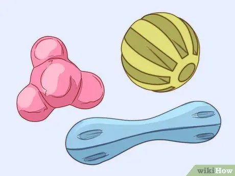 Уход за щенком ши-тцу Шаг 4