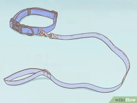 Уход за щенком ши-тцу Шаг 5