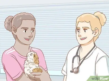 Уход за щенком ши-тцу Шаг 7